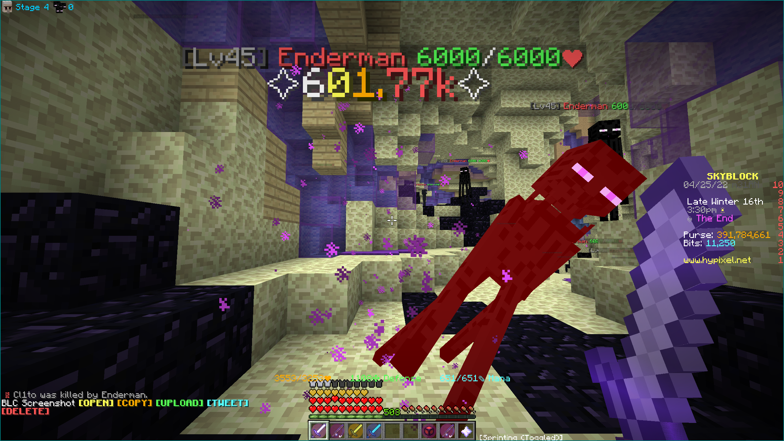 SkyblockCombat_9.png