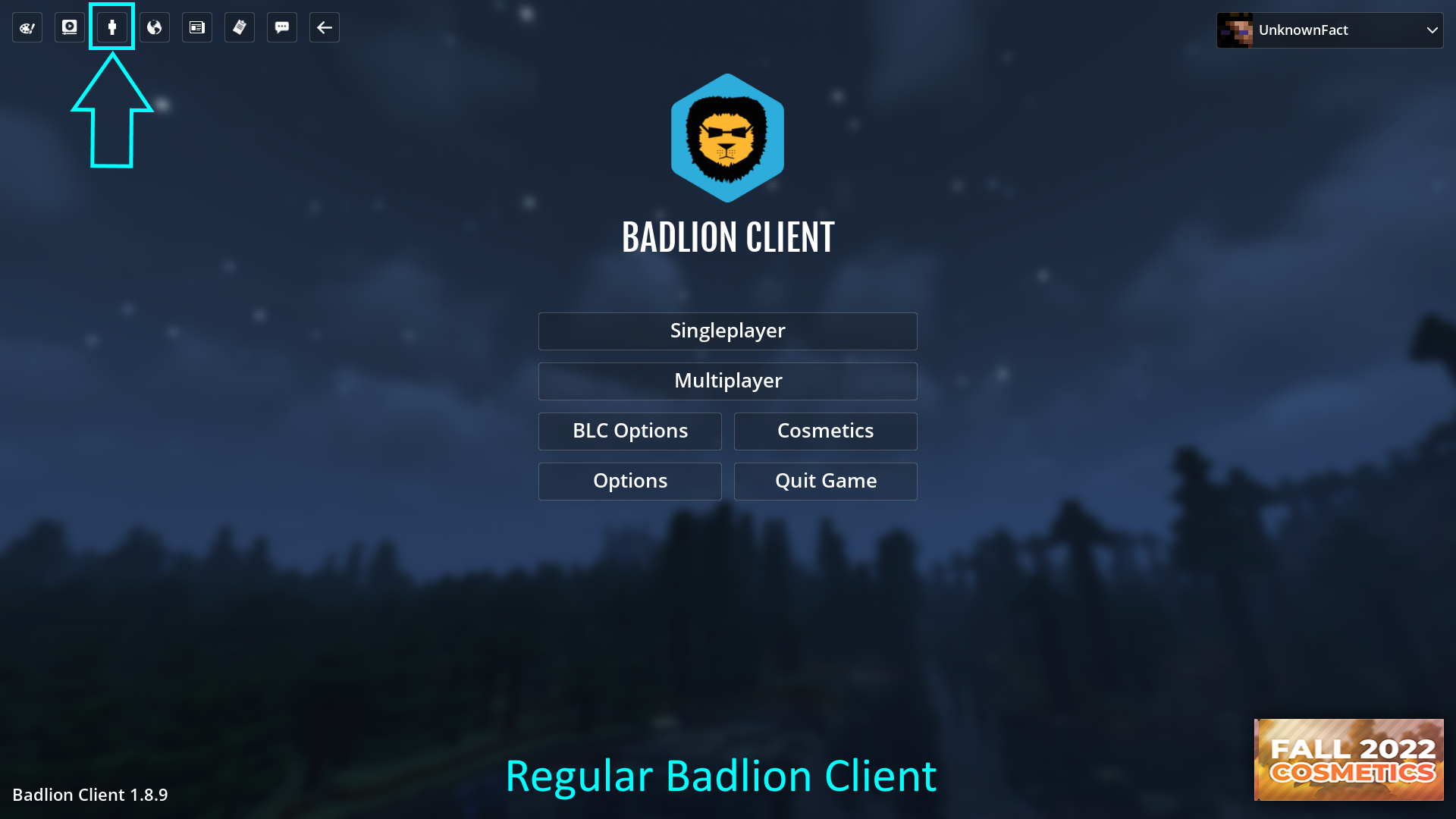 In-game Skin Changer – Badlion Support: Help Center for All Your Questions